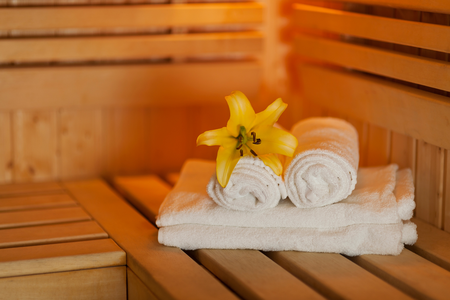 Sauna Arras Sauna Arras